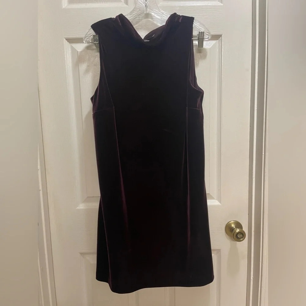 Ann Taylor Factory Amethyst Tie Neck Velvet Dress Sleevless Size Large Petite